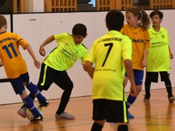 mini-2017-01-29-DSC_4338